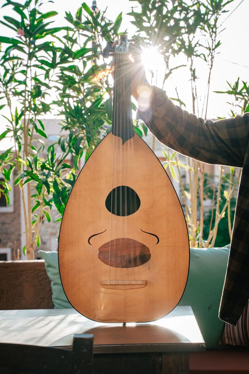A lute waiting for the evening's music