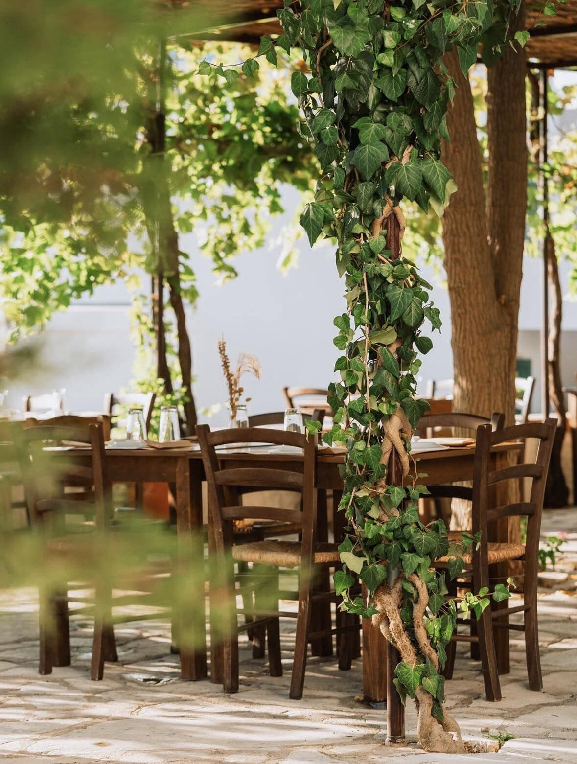 Tables set under the vine, with the sea beyond